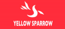 yellow-sparrow